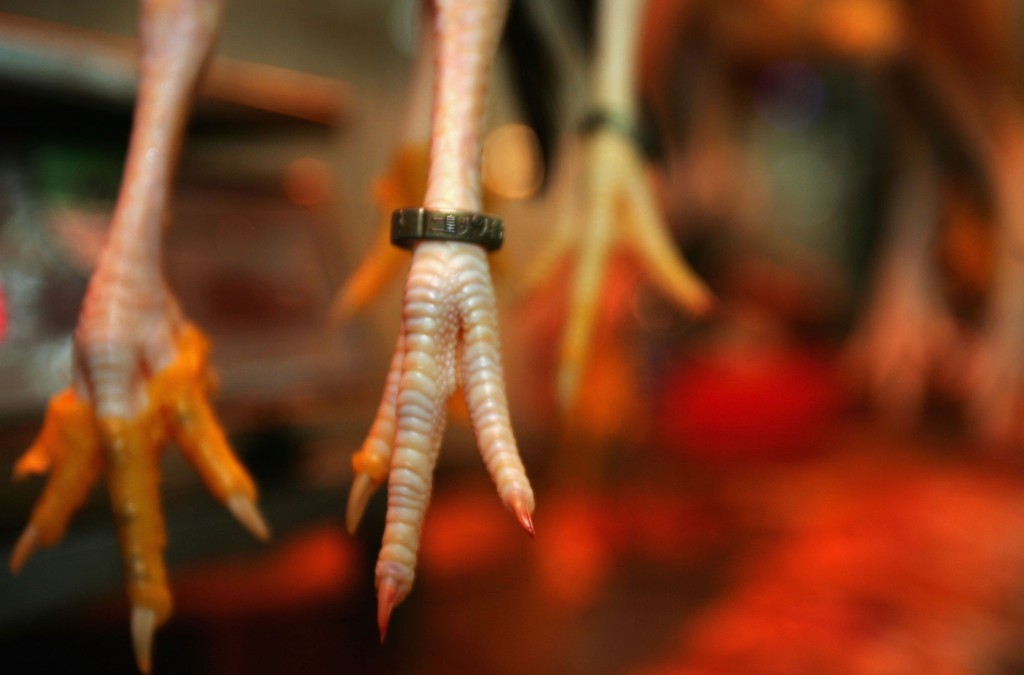 chickenfeet