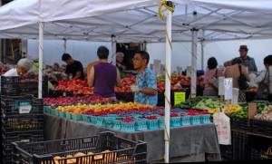 what you eat is your business essay