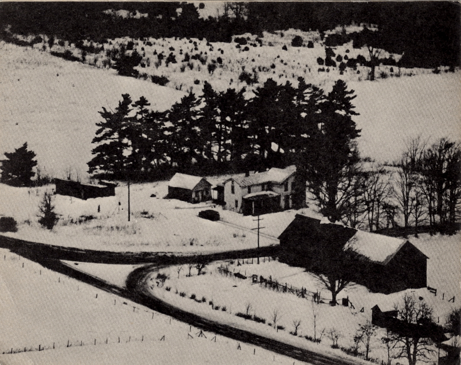 Dubner House Photo